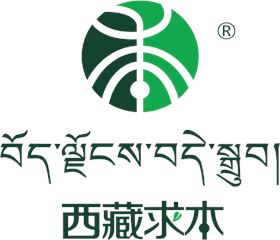 圖片1