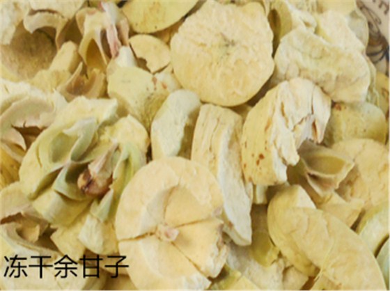 余甘子細(xì)節(jié)比對1