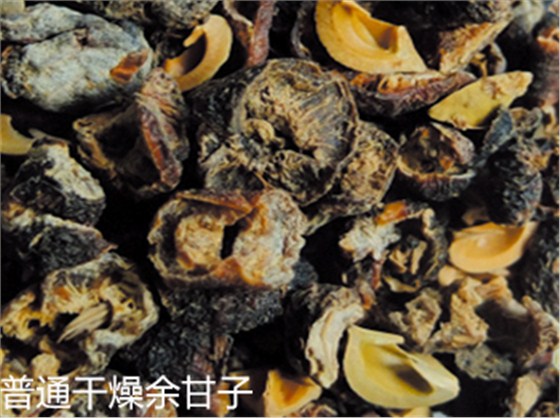 余甘子細(xì)節(jié)比對2
